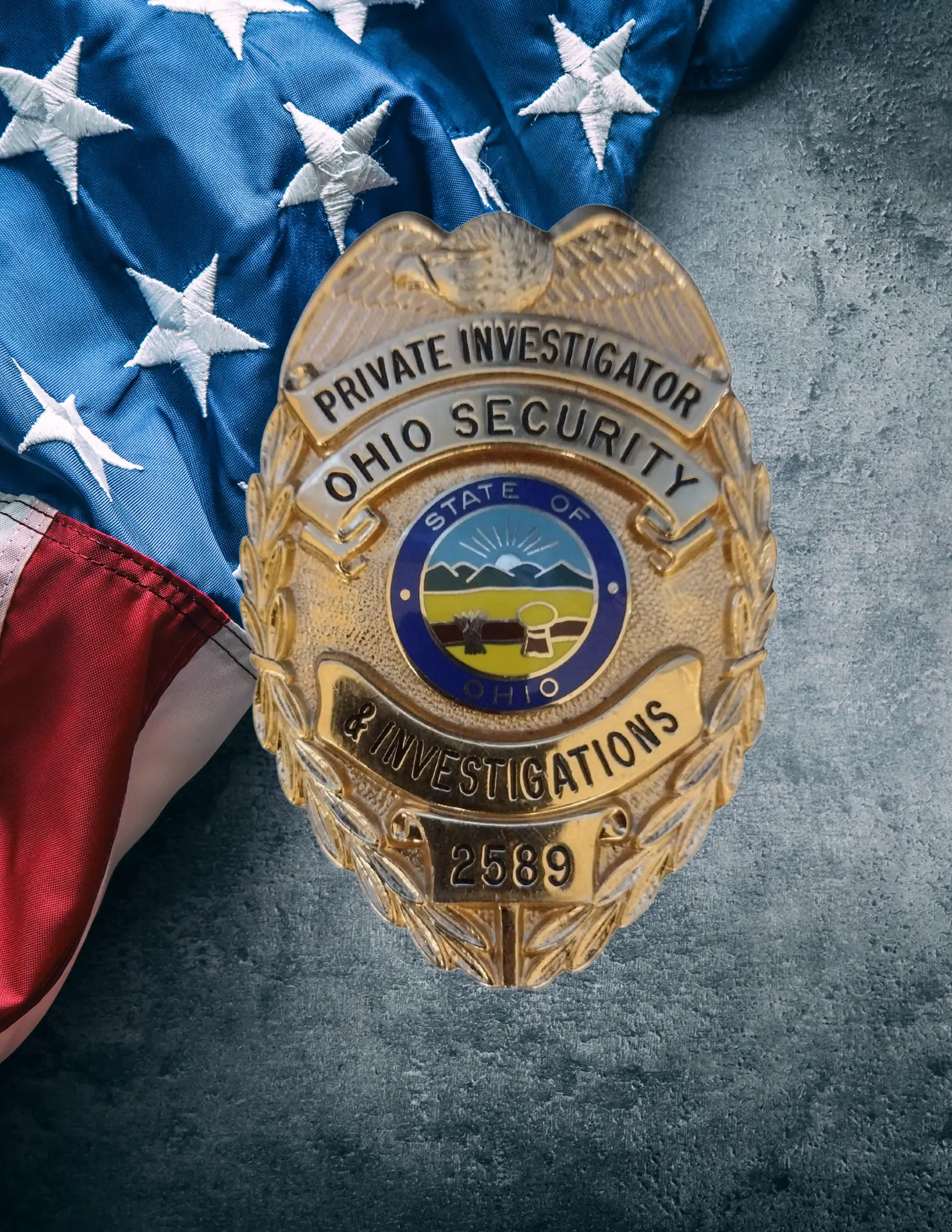 Ohio Security & Investigations 81 W McKinley Way Ste 2, Poland, Ohio 44514